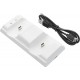 PS5 controller charging double dock charge P201 black ACCESORIES