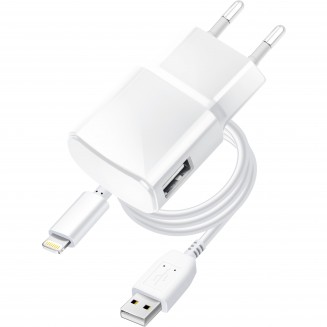 BLUE STAR travel charger 1A 5W USB A + cable USB A to Lightning TFK-TC-1100B white