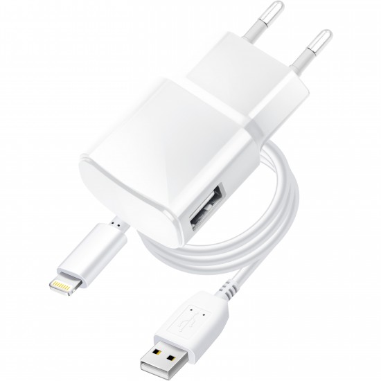 BLUE STAR travel charger 1A 5W USB A + cable USB A to Lightning TFK-TC-1100B white ACCESORIES